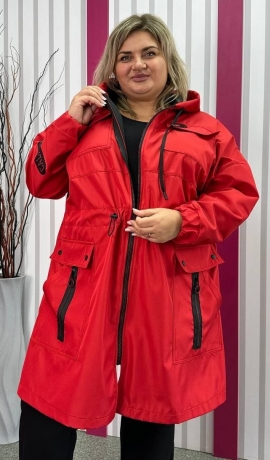 LIA18468 Sarkana vējjaka